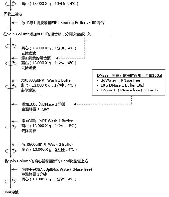 ISOSPIN Cell & Tissue RNA                              从动物细胞和组织提取RNA试剂盒