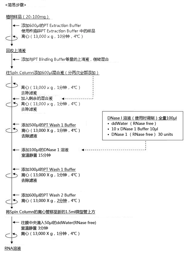 ISOSPIN Plant RNA                              从植物组织提取RNA试剂盒