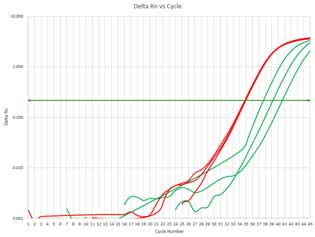 ISOSPIN Plant RNA                              从植物组织提取RNA试剂盒