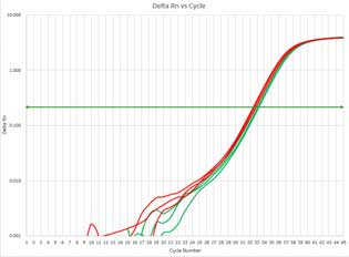 ISOSPIN Plant RNA                              从植物组织提取RNA试剂盒