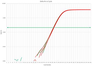 ISOSPIN Plant RNA                              从植物组织提取RNA试剂盒