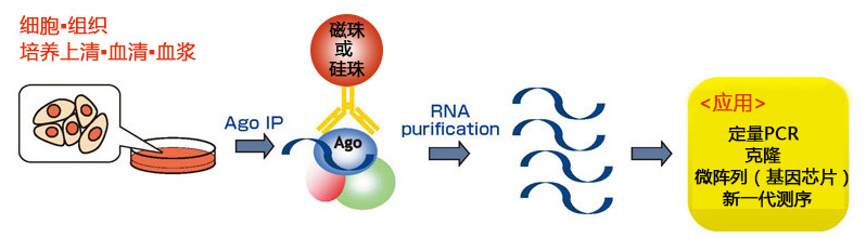 MagCapture™ microRNA分离试剂盒系列                              MagCapture™ microRNA Isolation Kit 系列