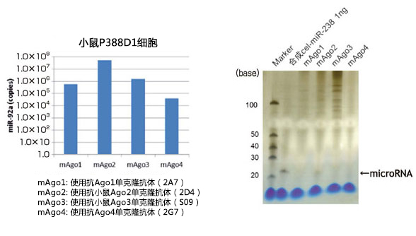 MagCapture™ microRNA分离试剂盒系列                              MagCapture™ microRNA Isolation Kit 系列