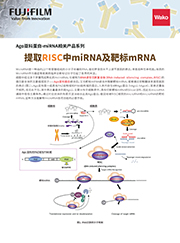 MagCapture™ microRNA分离试剂盒系列                              MagCapture™ microRNA Isolation Kit 系列