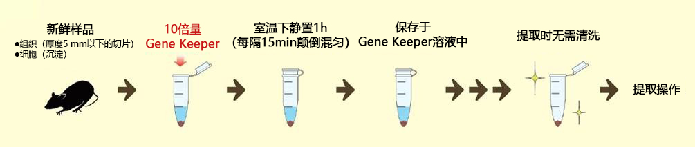 Gene Keeper RNA & DNA stabilization solution                              核酸提取用样品保存溶液