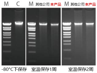 Gene Keeper RNA & DNA stabilization solution                              核酸提取用样品保存溶液