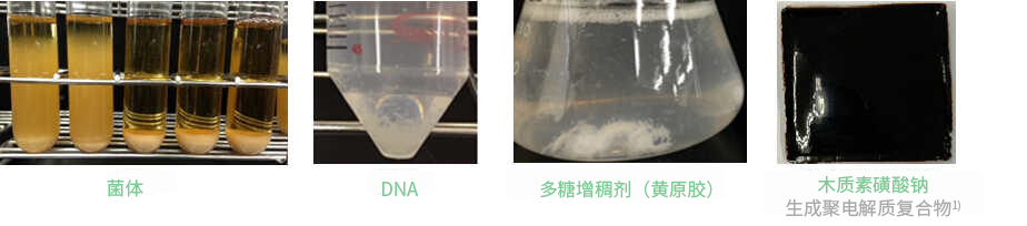 JNC 聚赖氨酸(ε-Poly-L-Lysine)                              使用生物技术生产的天然材料