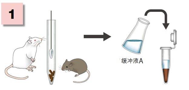 粘蛋白检测试剂盒                              Mucin Assay Kit