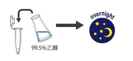 粘蛋白检测试剂盒                              Mucin Assay Kit