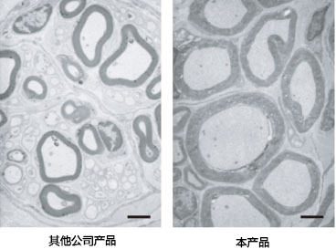 无DMSO的皮肤及神经组织用冷藏保存液                              ThelioKeep®