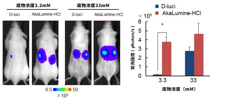 AkaLumine-HCl（TokeOni）                              实现生物体内部深处成像