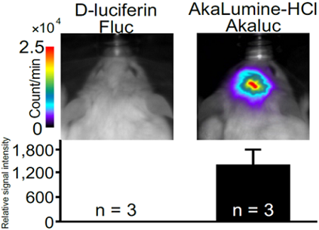 1216576174745469.png AkaLumine-HCl(TokeOni) 实现生物体内部深处成像