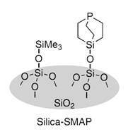 硅胶负载型篮式结构催化剂                              Silica-SMAP、Silica-TRIP