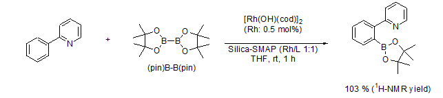 硅胶负载型篮式结构催化剂                              Silica-SMAP、Silica-TRIP