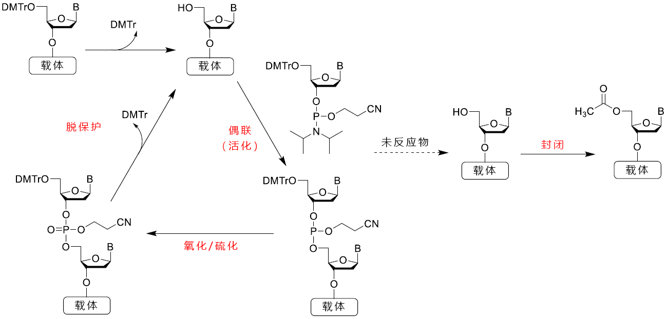 ÄKTA oligopilot用试剂