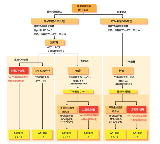 愈创木酚检测试剂盒                              Guaiacol Detection Kit