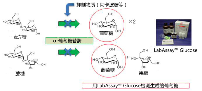 1614792906521229.jpg α-葡萄糖苷酶活性抑制检测试剂盒
