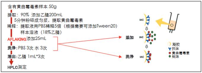 黄曲霉毒素和赭曲霉毒素提取用免疫亲和柱