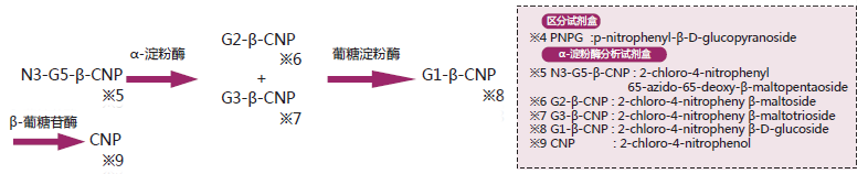 酿造分析试剂盒