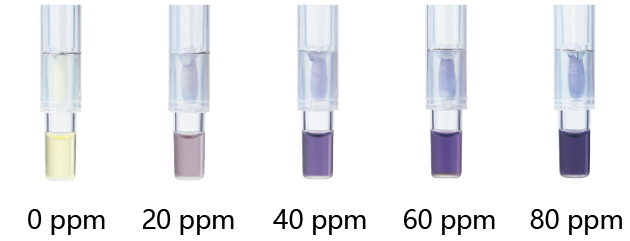 组胺检测试剂棒                              Histamine Check Swab