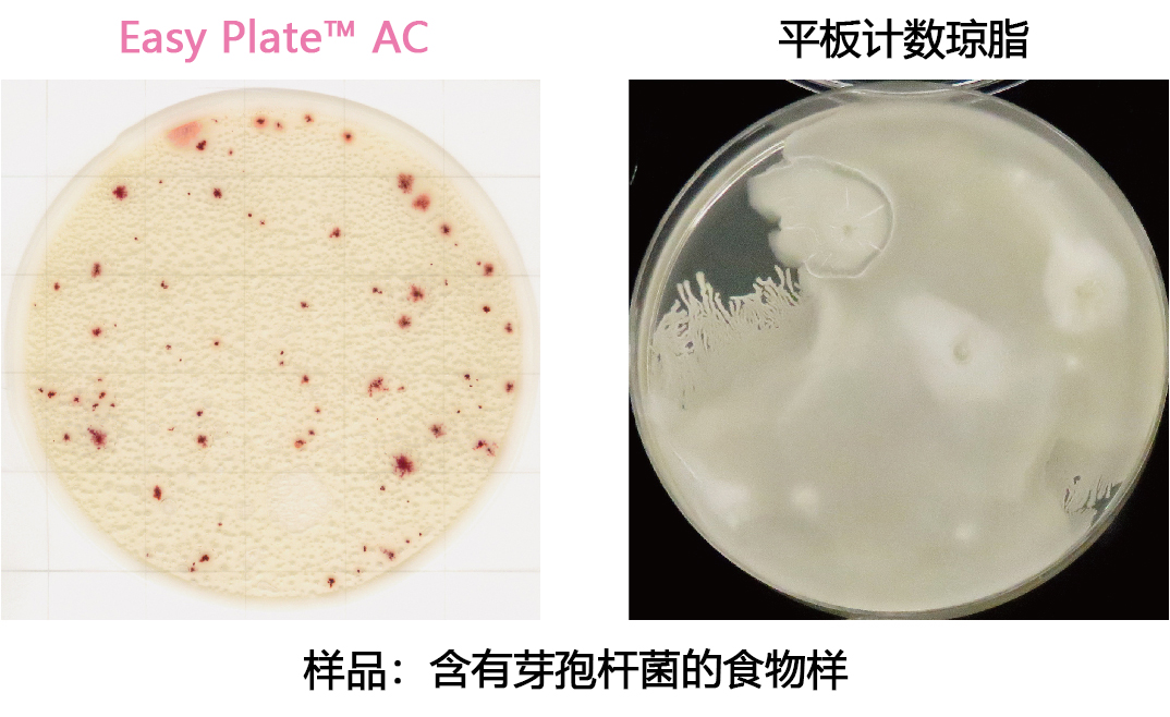 菌落总数测试片（原Medi•Ca AC）                              Easy Plate AC