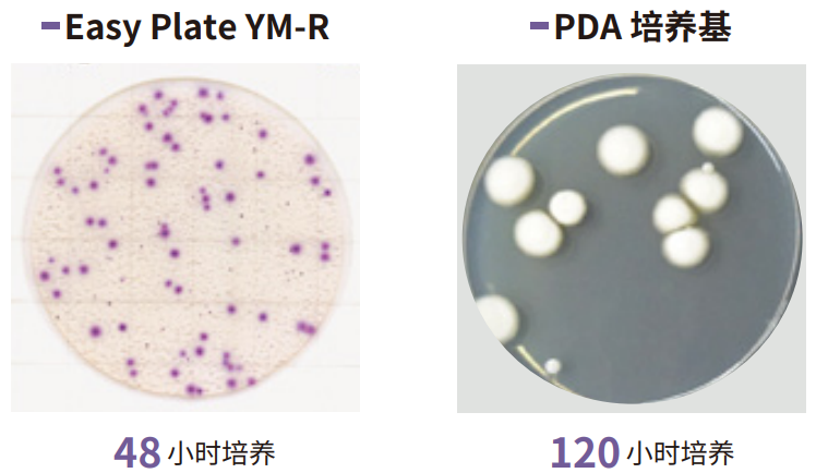 酵母·霉菌检测用测试片                              Easy Plate™ YM-R