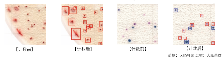 Easy Plate用自动菌落计数系统