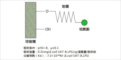 鲎试剂 LAL PS Single（适用于动态浊度法）                              Limulus PS Single tests Wako