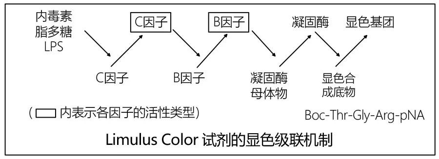 鲎试剂 LAL Color KY 系列                              Limulus Color KY Series