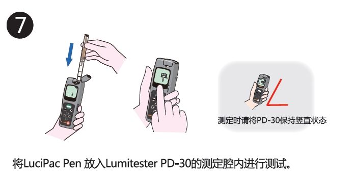 PD-30配套试剂——拭取检测用长轴棉棒                              LuciSwab
