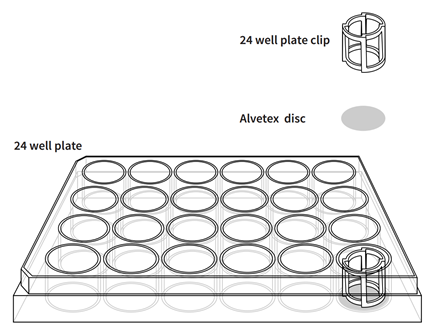 Alvetex™ 3D细胞培养系统                              Alvetex™ 3D细胞培养系统